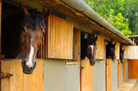 free Shotleyfield stable construction quotes